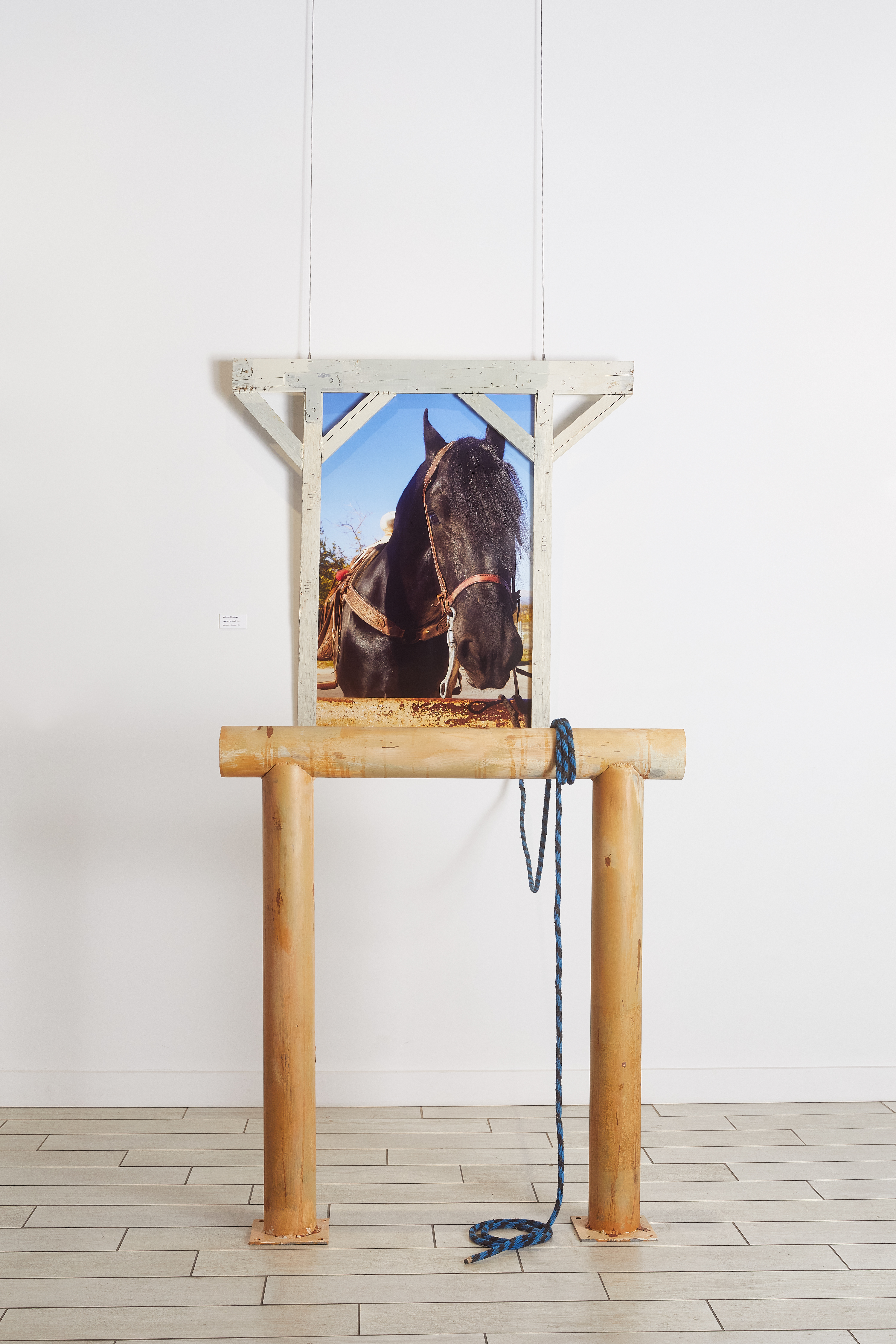 photograph of a horse in a picture frame that is shaped like a stable. 